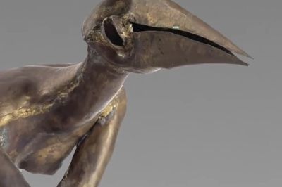 Reinhoud  ses creatures - Teaser