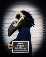 Raven by Sabina Jafar contemporary artwork photography