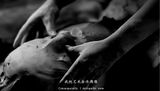 The Poetry of Michelangelo by Geng Xue contemporary artwork moving image