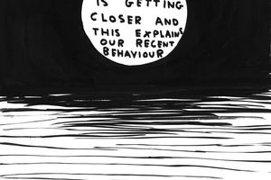 David Shrigley