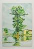 Kicking Water NO DATE by Naofumi Maruyama contemporary artwork Painting