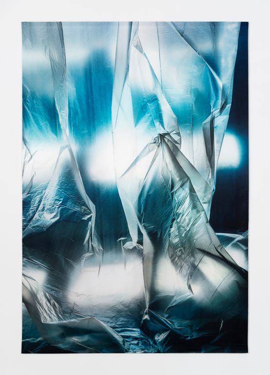 Untitled 3288 by Elisa Sighicelli contemporary artwork Photography