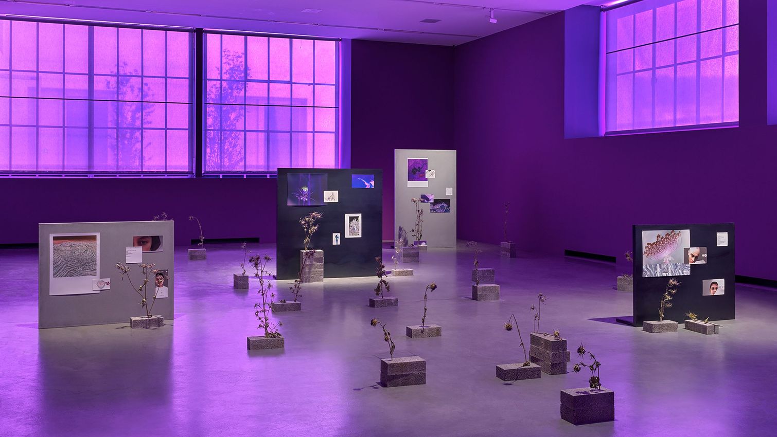 BASEL ABBAS & RUANNE ABOU-RAHME
