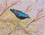 Summer mornings by Sohrab Hura contemporary artwork painting