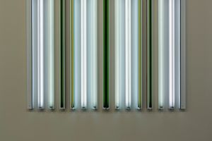 Robert Irwin