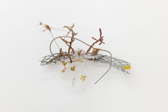 Creeky by Isadora Vaughan contemporary artwork Sculpture