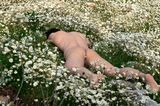 Daisies by Shen Wei contemporary artwork photography print
