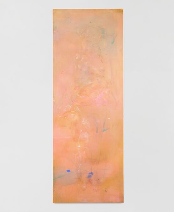 Diana with lace by Maaike Schoorel contemporary artwork Painting