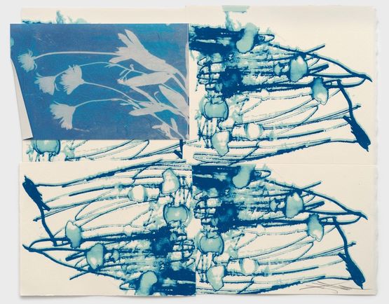 DRFTRS Daisy Ghost by Sterling Ruby contemporary artwork Print