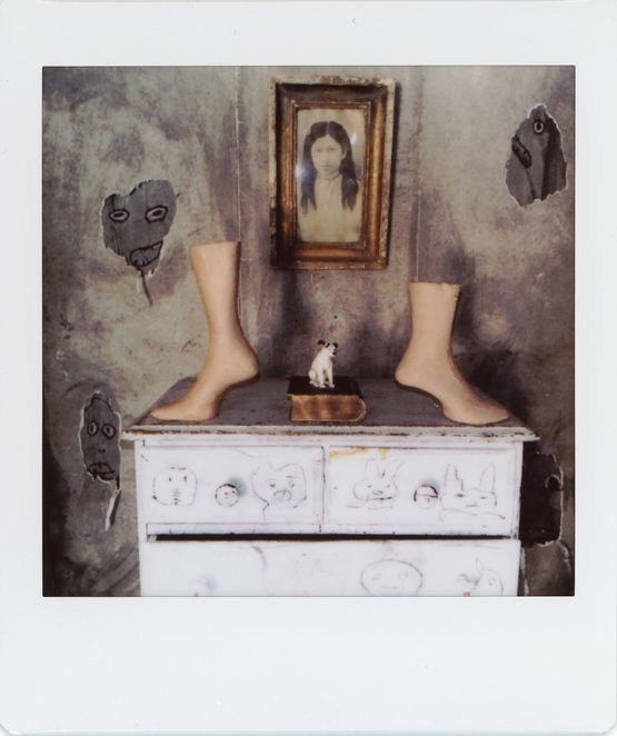 Untitled 073-2 by Roger Ballen contemporary artwork Photography