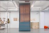 Molt Woodridge-New York-Miami- by Lotus L. Kang contemporary artwork moving image sculpture