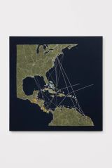El Pulpo UFCos Great White Fleet Routes and Properties in Central America  the Caribbean by Tiffany Chung contemporary artwork textile