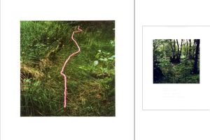 Andy Goldsworthy