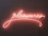 Pleasures pink flamingo by Sylvie Fleury contemporary artwork sculpture