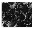 Untitled Days by Adam Pendleton contemporary artwork Painting