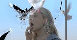 Soaring through Barriers still by Ellen Sheidlin contemporary artwork moving image