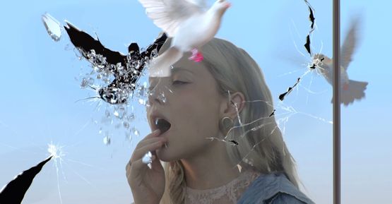 Soaring through Barriers still by Ellen Sheidlin contemporary artwork Moving Image