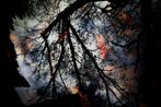Water Reflection by Yasuhiro Ogawa contemporary artwork Print