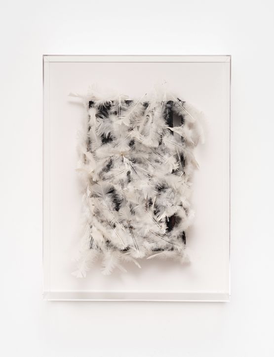 Vendetta by Caetano De Almeida contemporary artwork Sculpture
