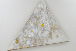 Adam Silverman's Art For Sale, Exhibitions & Biography | Ocula Artist