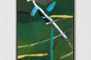 Ilse DHollander