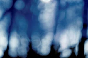 Nicholas Hughes