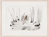 Foglie by Giuseppe Penone contemporary artwork works on paper