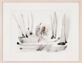 Foglie by Giuseppe Penone contemporary artwork works on paper