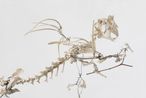 Untitled Hase mit Wunschelrute by Christian Eisenberger contemporary artwork Sculpture
