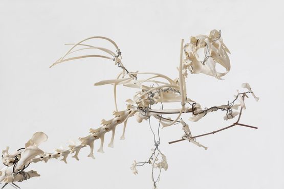 Untitled Hase mit Wunschelrute by Christian Eisenberger contemporary artwork Sculpture