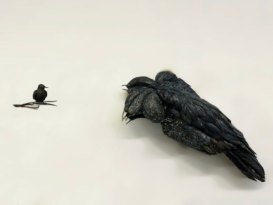Untitled by Sakshi Gupta contemporary artwork Sculpture