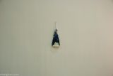 Downward by Xu Zhen contemporary artwork sculpture