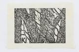 Trees by Robin White contemporary artwork works on paper