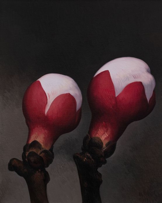 Apricot Flower No.6 by Yan Bing contemporary artwork Painting