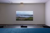 The Owl in Daylight by Philippe Parreno contemporary artwork moving image print