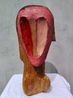 Earthly Forms Series IV by Alimi Adewale contemporary artwork Painting