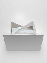 Adjacents Le Buisson 2024 by Jean-Luc Moulene contemporary artwork mixed media