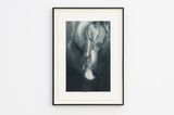 Close to Hand II by Alexandra Karakashian contemporary artwork painting