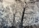 The edge of memory V by Julien Segard contemporary artwork Drawing