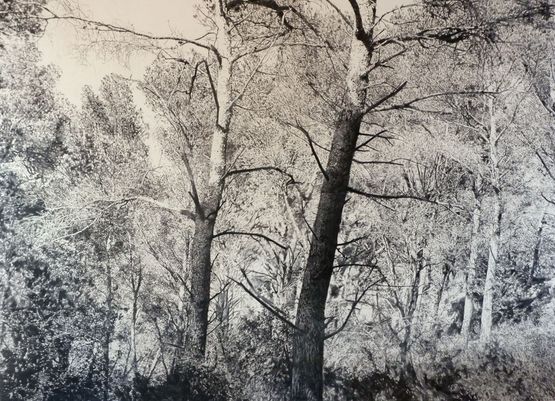 The edge of memory V by Julien Segard contemporary artwork Drawing