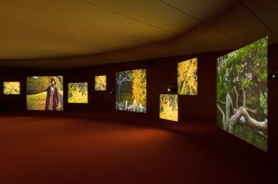 Isaac Juliens Ode to Frederick Douglass Shows at MoMA