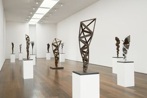 Conrad Shawcross