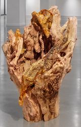 Ghost Bark by Elnara Nasirli contemporary artwork installation