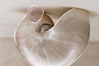 Leyla Gabulova contemporary artist
