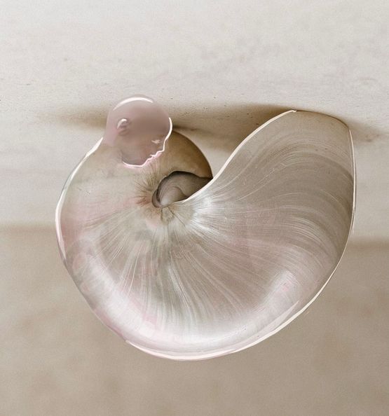 Exuviae by Leyla Gabulova contemporary artwork Sculpture