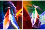 Ellen Carey contemporary artist