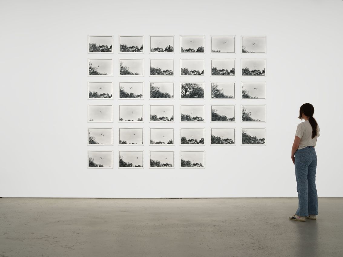 Zoe Leonard, 'Excerpts from 'Al río / To the River'' at Hauser