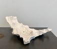 Echoes from Billions Gone Cells by Aljoscha contemporary artwork Sculpture