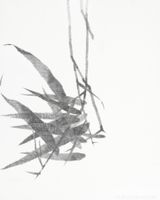 Painting Slowness Malerei der Langsamkeit 38 Hours by Shan Fan contemporary artwork drawing