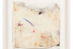 Lucy Dodd